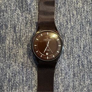 Skagen 342XLTMD brown modern watch